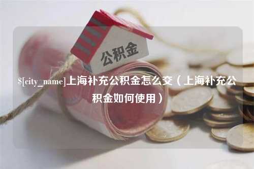 张北上海补充公积金怎么交（上海补充公积金如何使用）